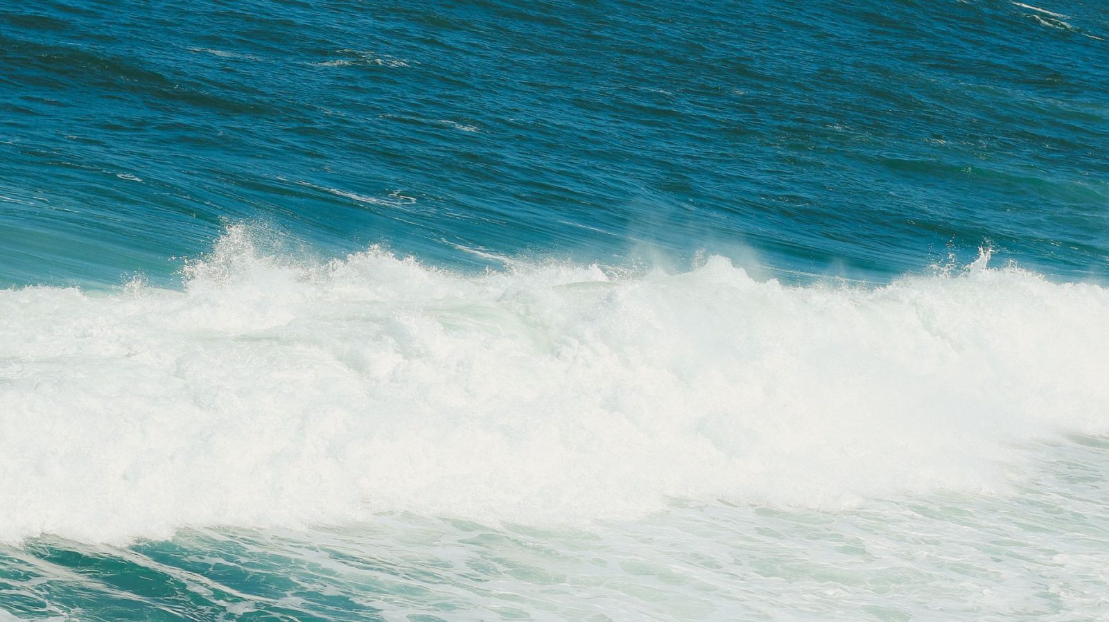Ψάρεμα Surf Casting: Βασικές αρχές και εξοπλισμός για την παραλία