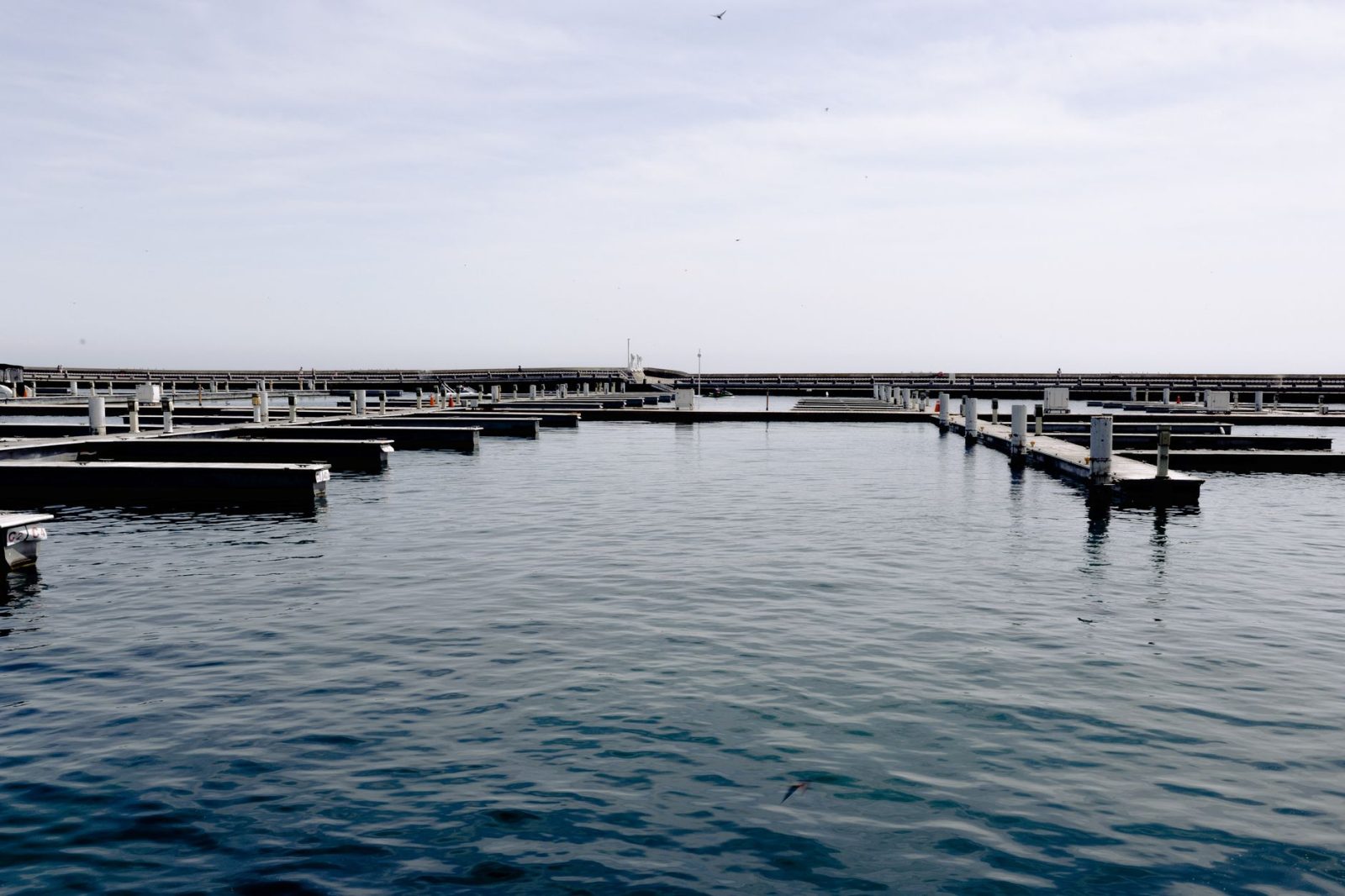 Φελλός ψαρέματος 0.5g: Χρήσεις, χαρακτηριστικά και κριτήρια επιλογής