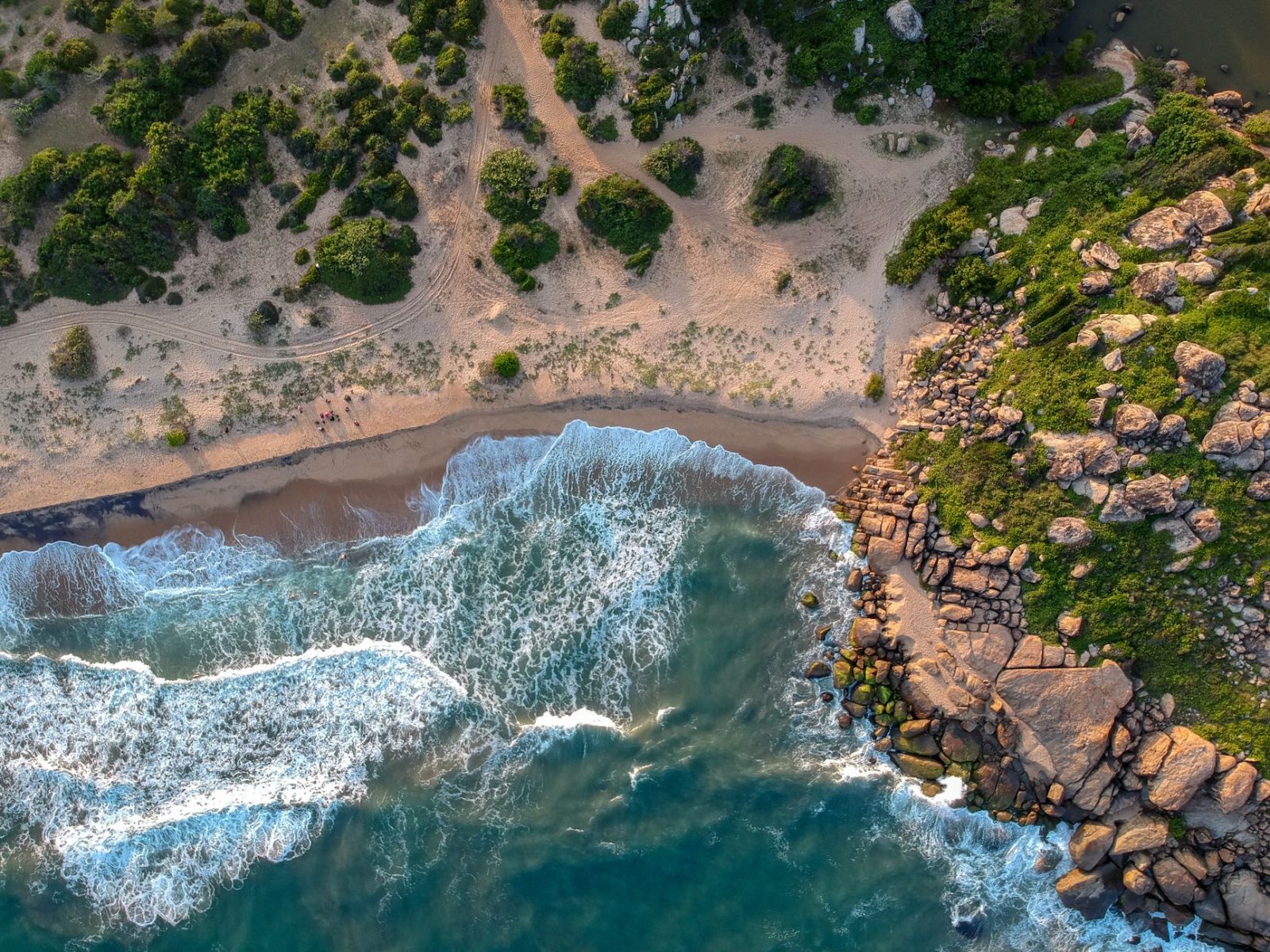 Καλάμια Casting Trabucco: Βασικά Χαρακτηριστικά και Κριτήρια Επιλογής